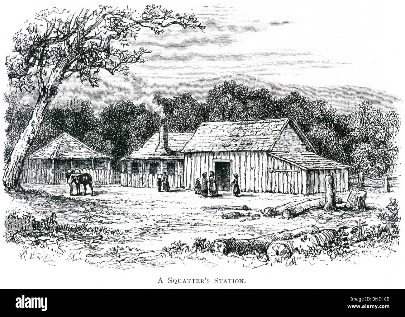 Une gravure d'une station de squatteurs - publié dans un livre sur l'Australie imprimé en 1886. Banque D'Images