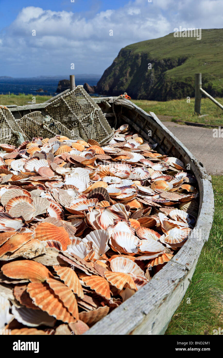 Vieux bateau rempli de coquilles st Jacques à l'extérieur de la tête Gallan Restaurant, Isle Of Lewis, Hébrides extérieures, en Écosse Banque D'Images