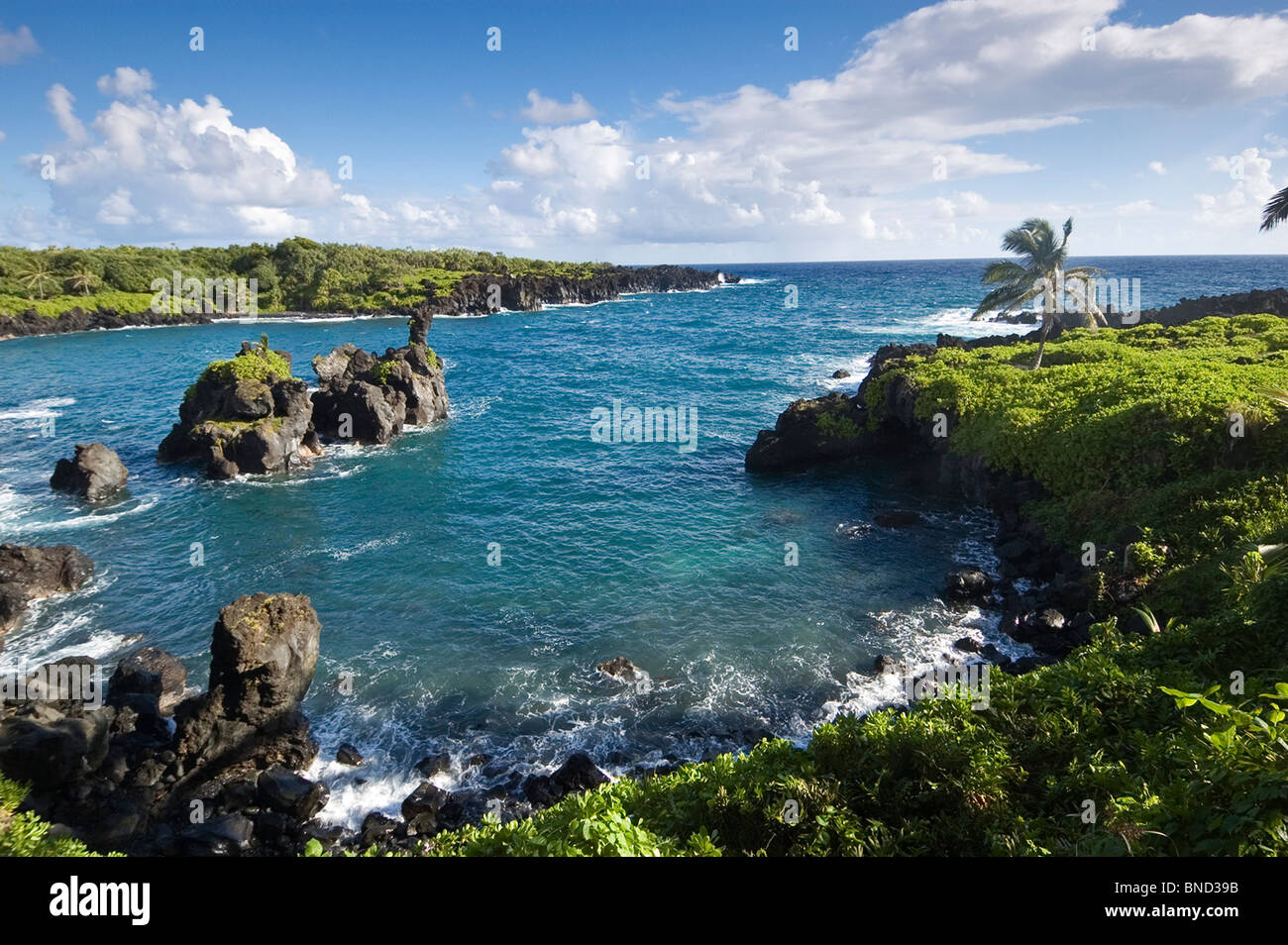 Elk284-4530 Hawaii, Maui, Wai'anapanapa SP, Pa'iloa Bay, Black lava rock Banque D'Images