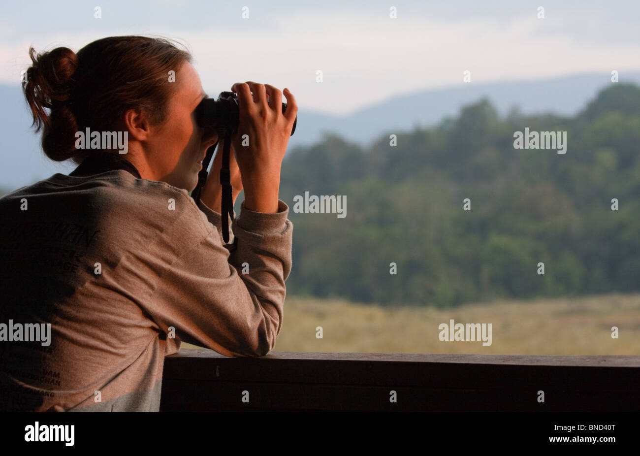 Femme l'observation des oiseaux à partir d'une tour d'observation dans le parc national Khao Yai, Thaïlande Banque D'Images