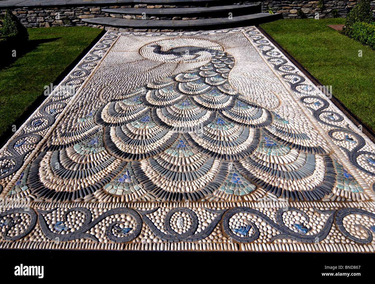 Un bon exemple d'un paon dans la conception traditionnelle de la mosaïque de galets utilisés dans un jardin Banque D'Images
