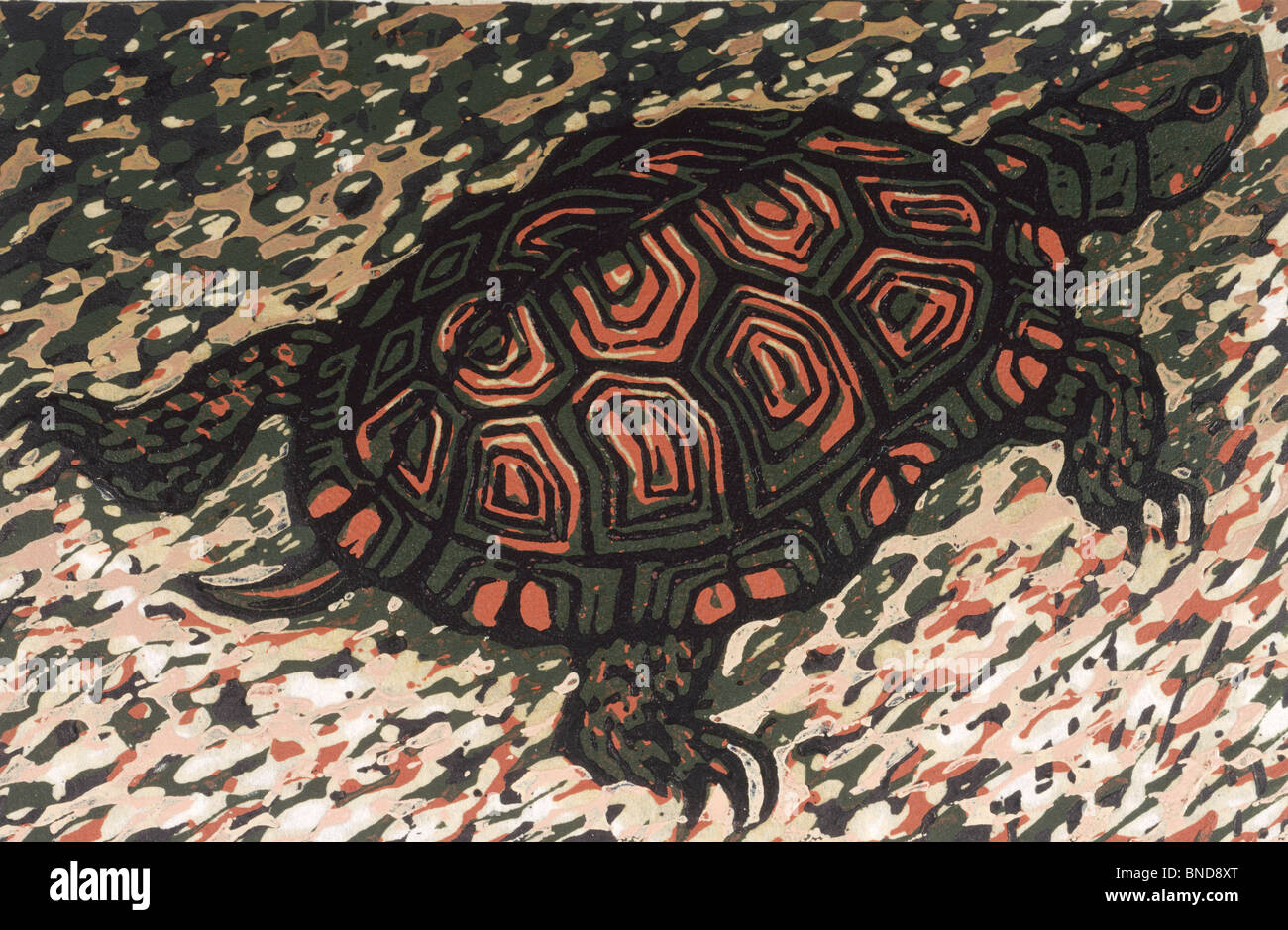 Déménagement Turtle par Barry Wilson, woodcut print, (né en 1929) Banque D'Images