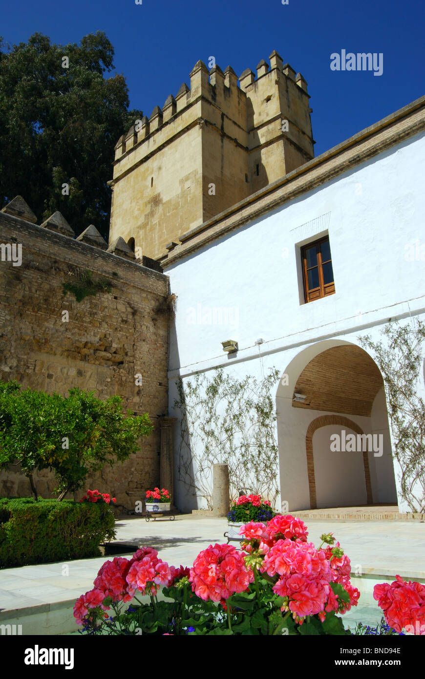 Palace Forteresse des Rois Chrétiens - Cour dans le parc du château, Córdoba, Cordoue, Andalousie, province de l'Espagne, l'Europe. Banque D'Images