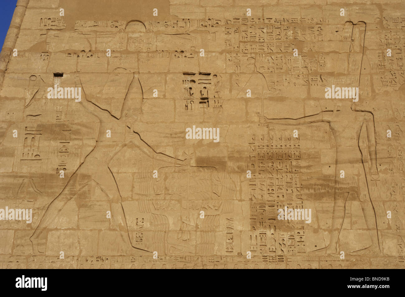 Temple de Ramsès III. Relief représentant Ramsès III capturer ses ennemis en présence d'Amon. L'Égypte. Banque D'Images