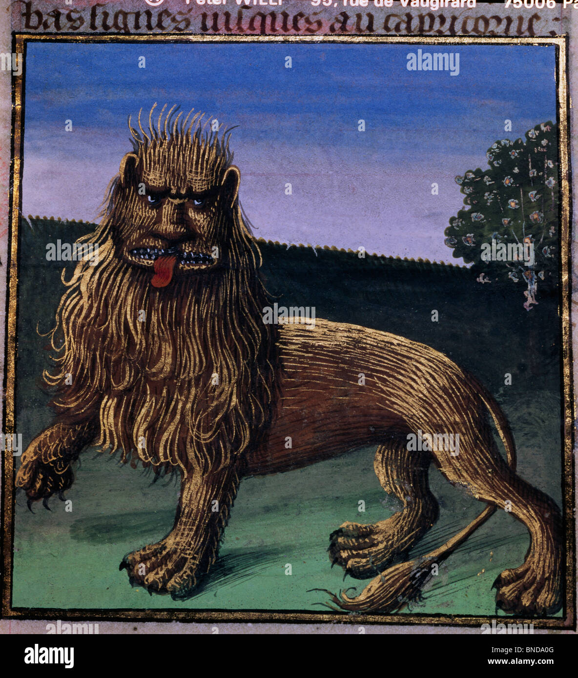 Le Lion, manuscrit, France, Paris, Bibliothèque Nationale Banque D'Images