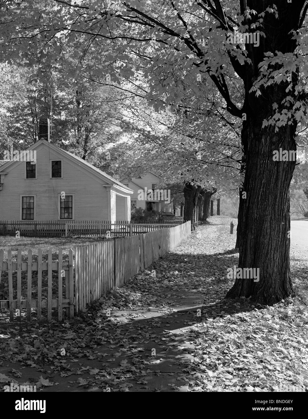 Picket fence in front of a house, Bristol, New York, USA Banque D'Images