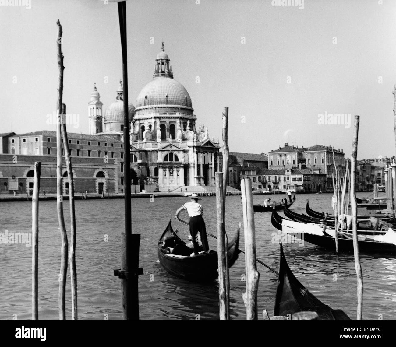 Santa Maria della Salute, Venise Italie Banque D'Images