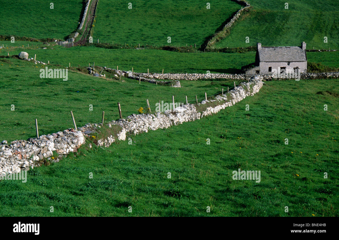 Mur de pierre dans un champ, dans le comté de Cork, Irlande Banque D'Images