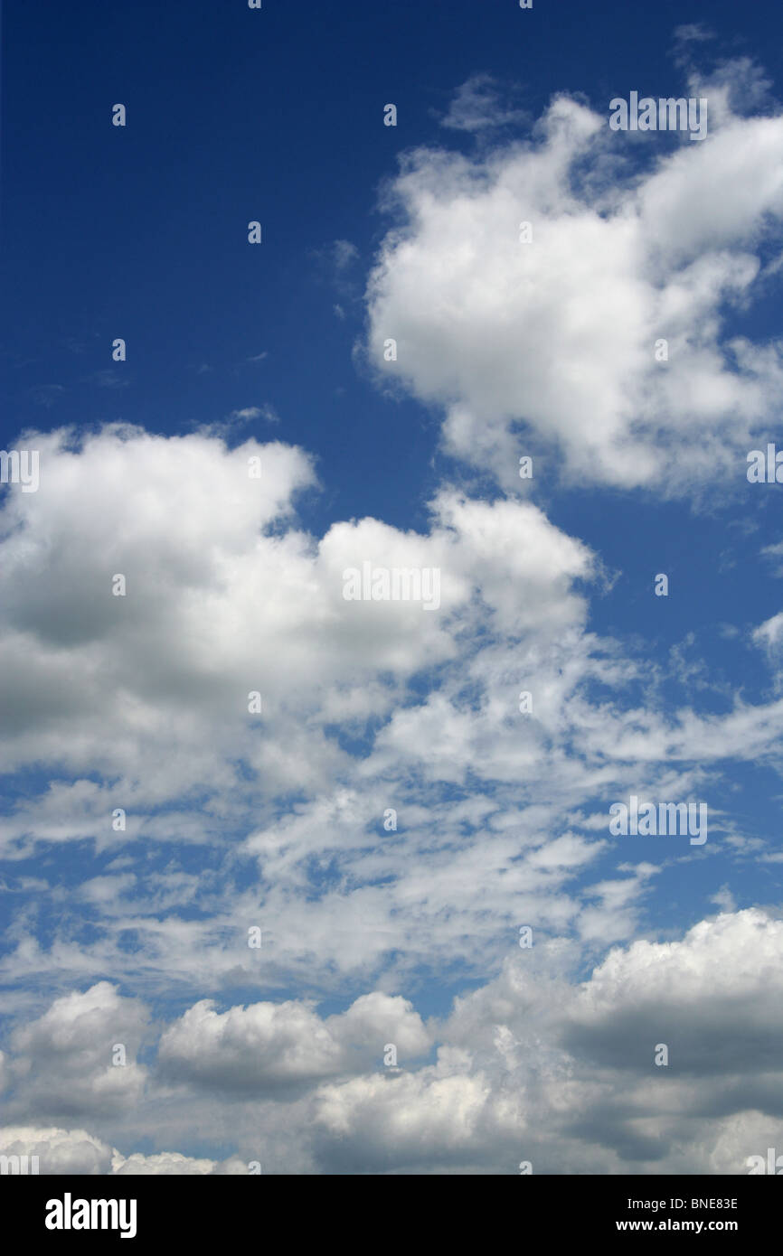 Fluffy White Clouds in a Blue Sky Banque D'Images