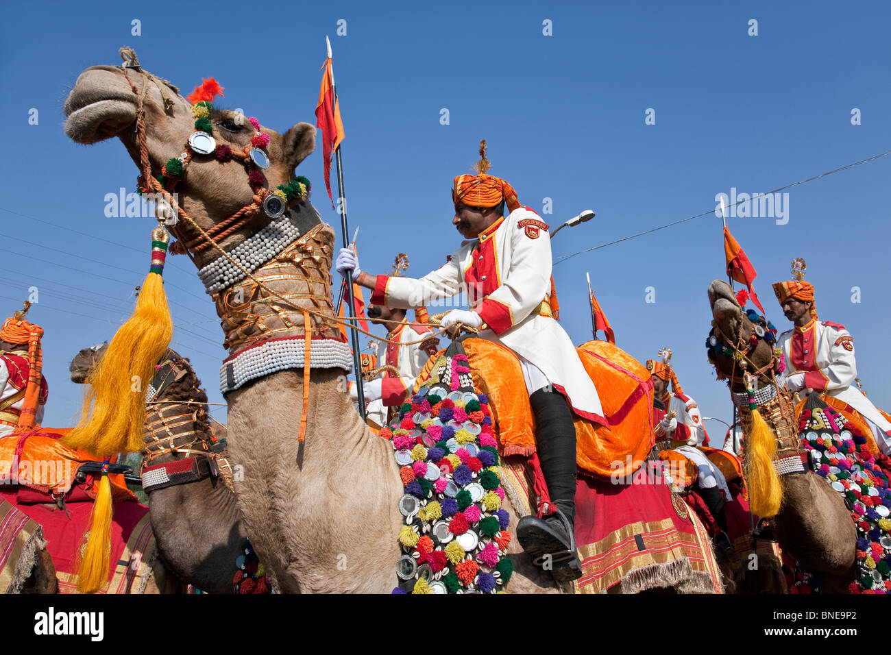 Soldat indien chameaux. Défilé du Festival de Jaisalmer. Le Rajasthan. L'Inde Banque D'Images