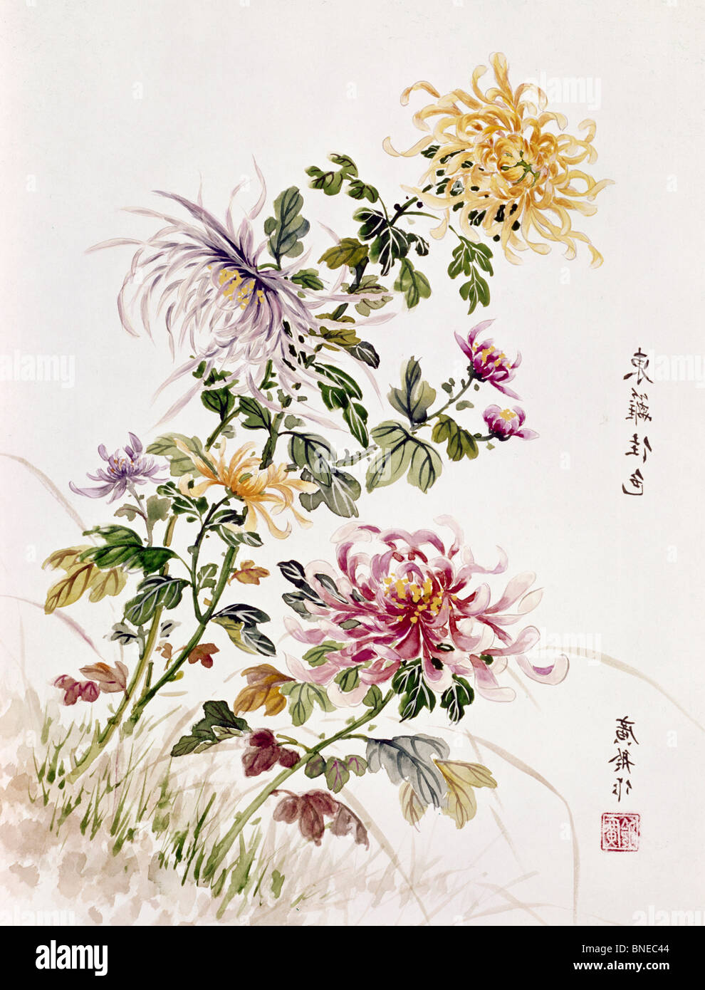 Fleurs par Kwang-Ling Ku, 20e siècle Banque D'Images
