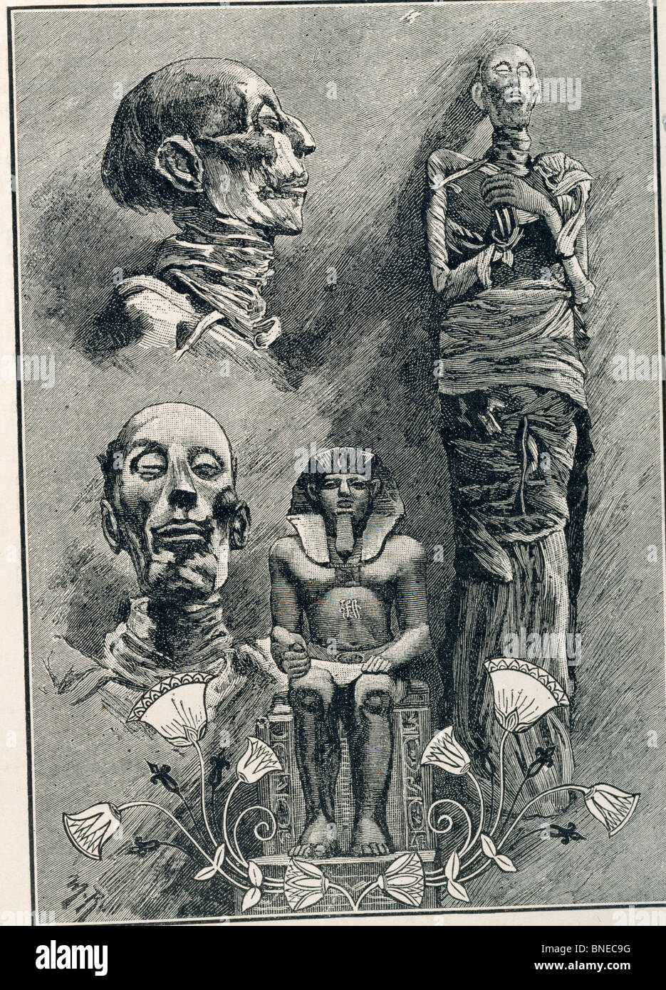 Momies études & Fleur de Lotus par artiste inconnu Banque D'Images