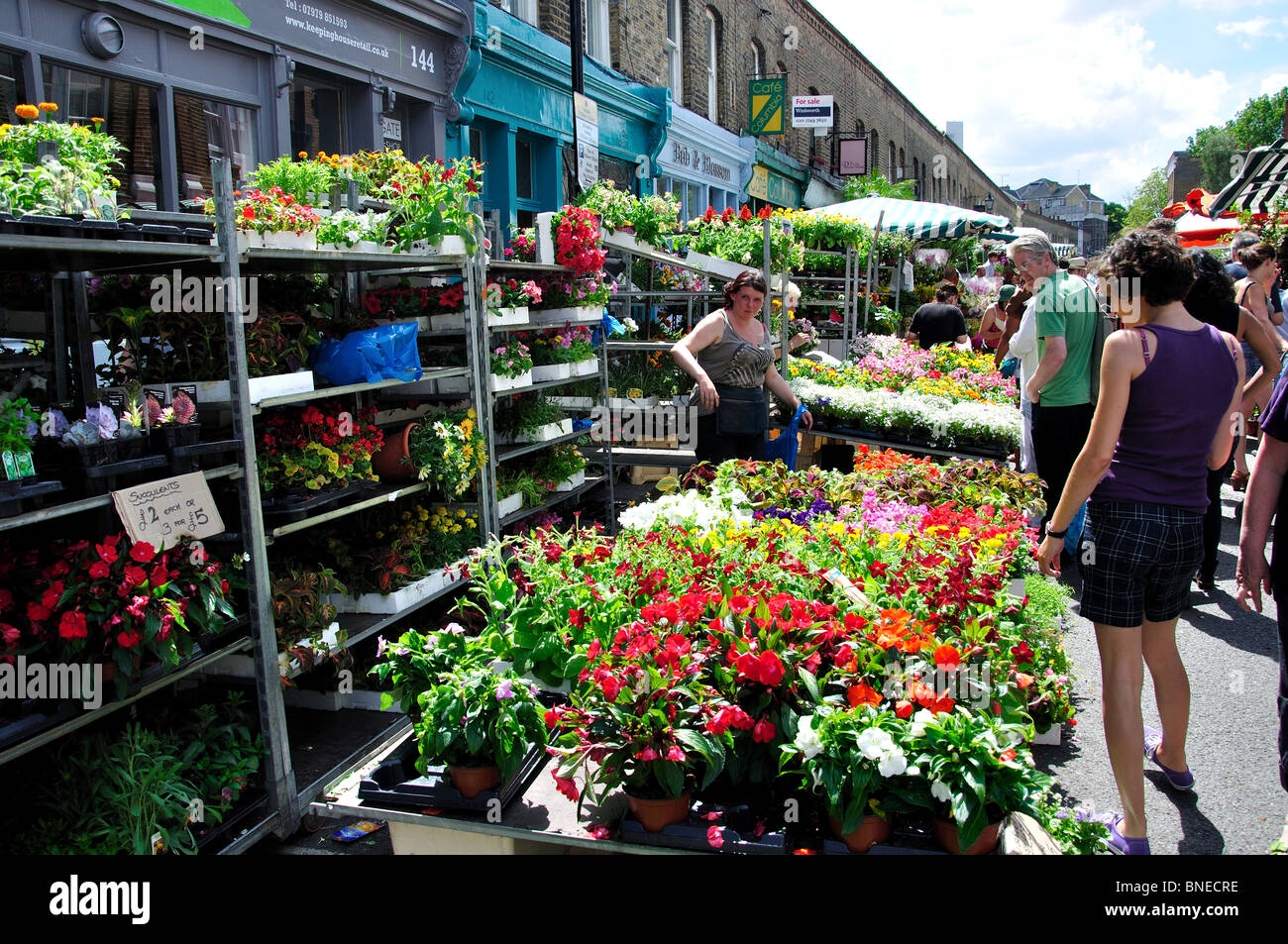 Columbia Road Flower Market, Columbia Road, Bethnal Green, le quartier londonien de Tower Hamlets, Grand Londres, Royaume-Uni Banque D'Images