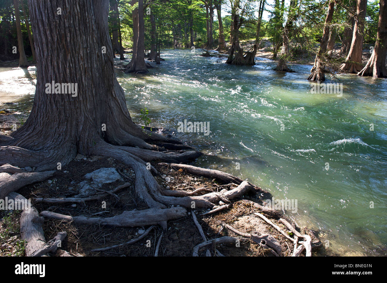 L'inondation de la rivière sa banque à Hill Country, Texas, États-Unis Banque D'Images