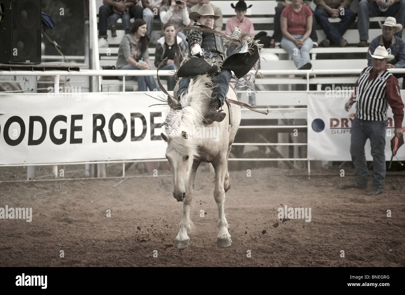 L'essayant de jeter Rodeo Cowboy membre de l'érythroblastopénie à partir de son retour à Petite-ville, Bridgeport, Texas, États-Unis Banque D'Images