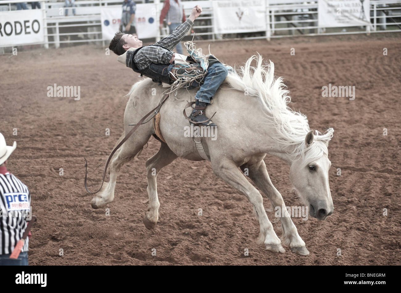 Lancer cheval Rodeo Cowboy Membre de l'érythroblastopénie à partir de son retour à Petite-ville Bridgeport, Texas, États-Unis Banque D'Images