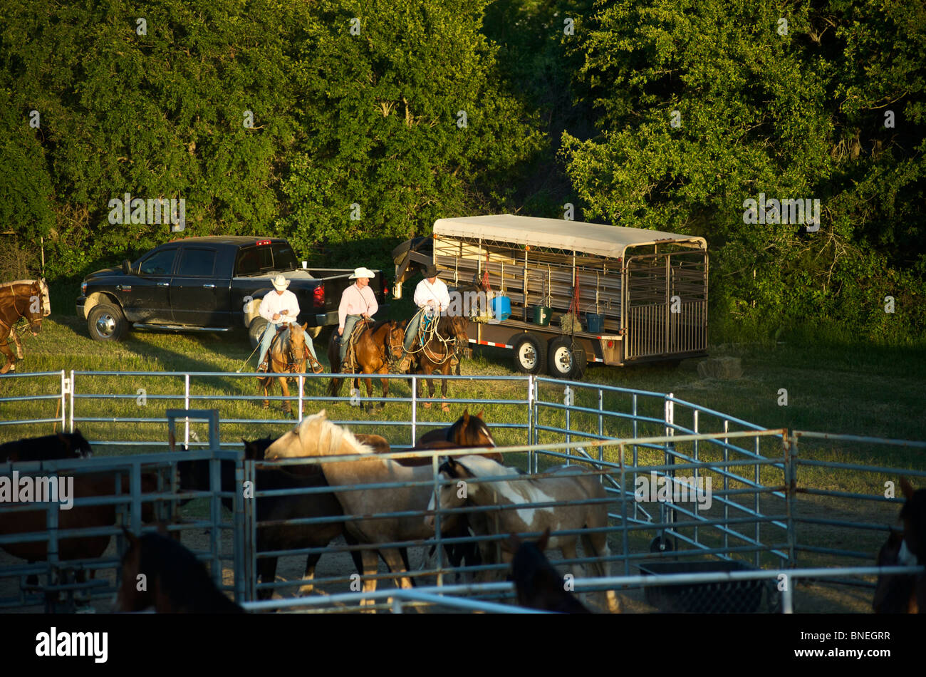 Les membres de l'érythroblastopénie Cowboy riding horses backstage rodeo au cas de Bridgeport, Connecticut, USA Banque D'Images