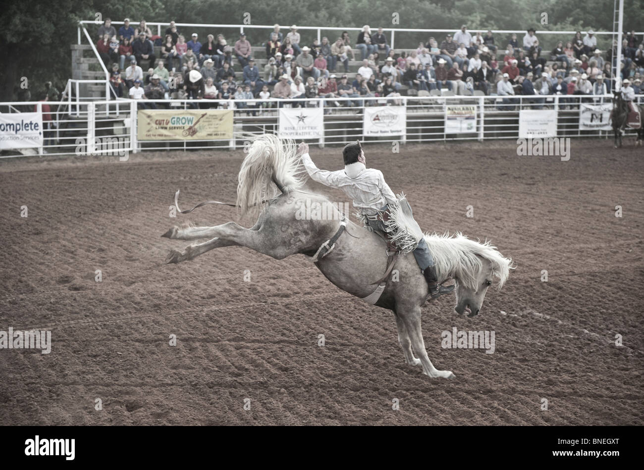 L'essayant de jeter Rodeo Cowboy membre de l'érythroblastopénie à partir de son retour à Petite-ville Bridgeport Texas, États-Unis Banque D'Images