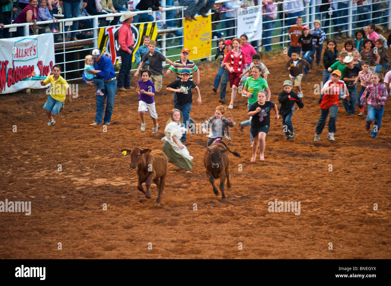 Jeune foule courir pour attraper les chargeuses à PRCA Rodeo à Petite-ville Bridgeport, Texas, États-Unis Banque D'Images
