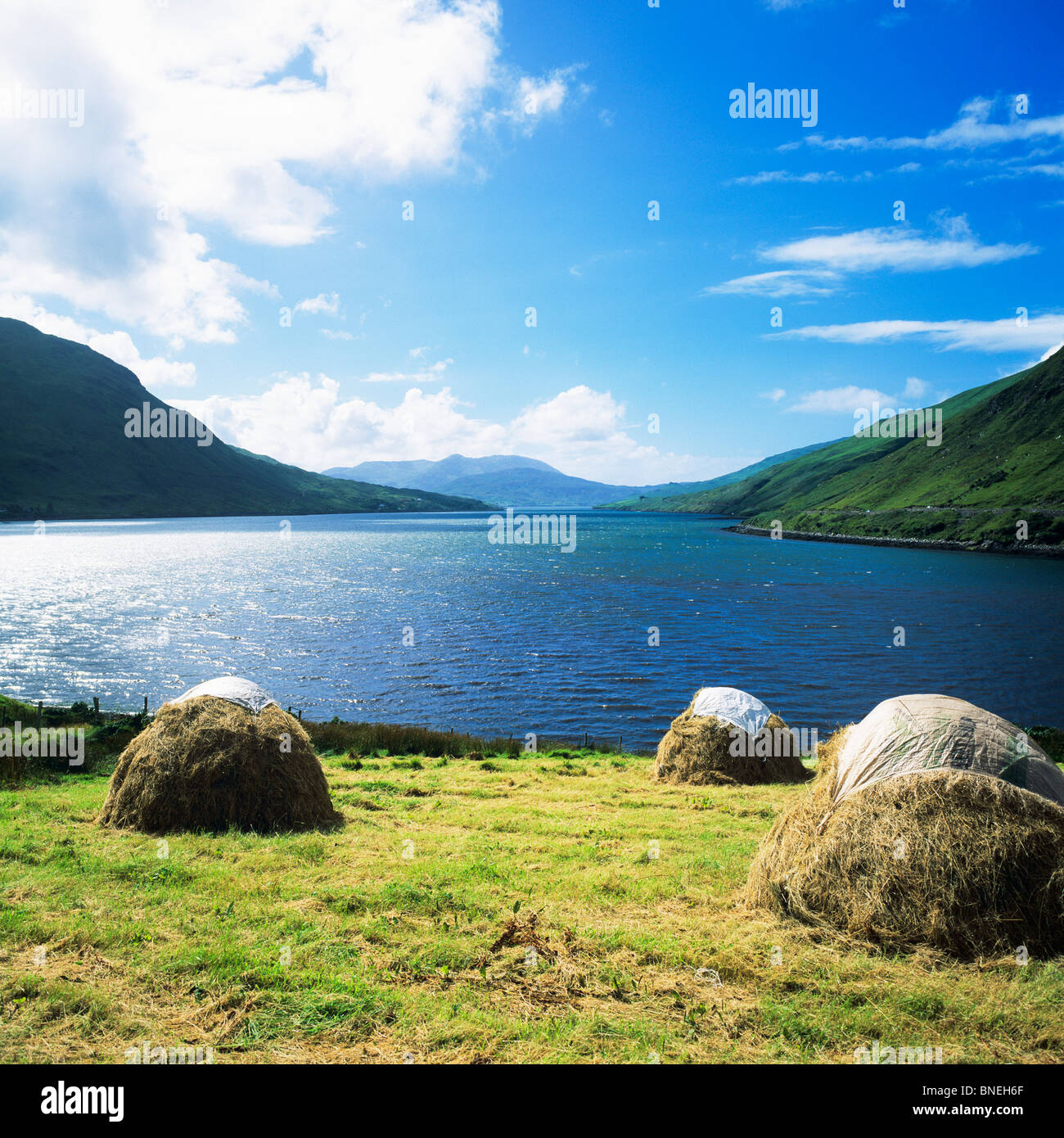 HAYCOCKS KILLARY HARBOUR FJORD COMTÉ DE CONNEMARA GALWAY IRLANDE EUROPE Banque D'Images