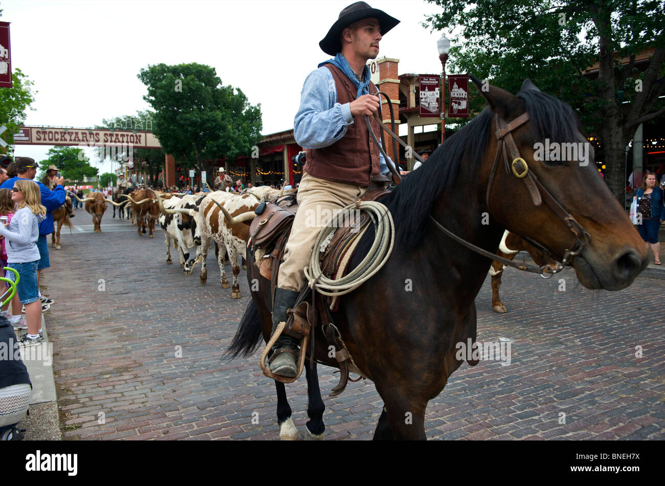 Longhorns et cowboy en marchant dans la rue au Texas Banque D'Images