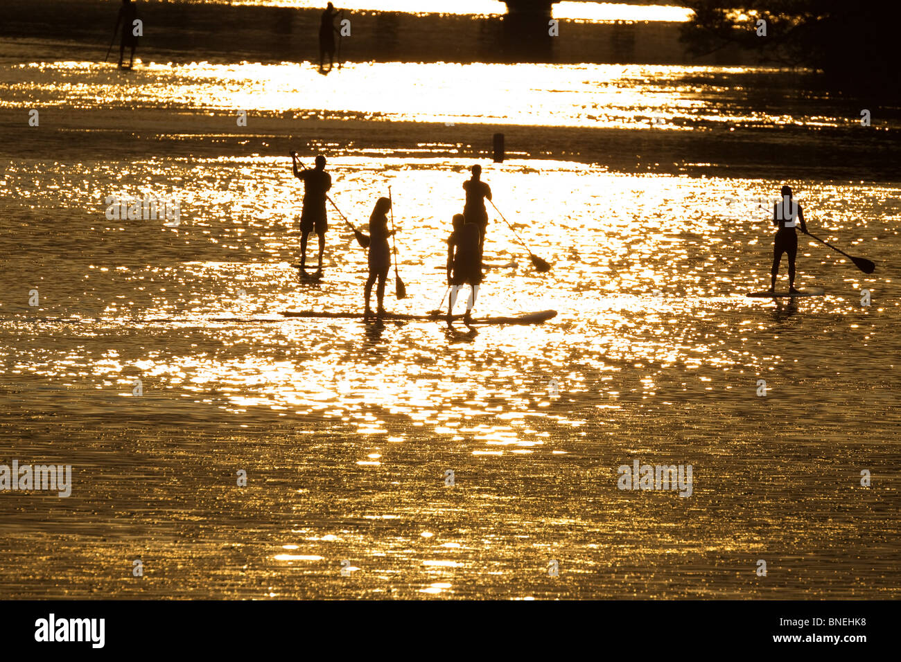 Stand Up Paddle boarders pagayer sur le lac Lady Bird près du centre-ville d'Austin, Texas, USA, au coucher du soleil sur un début de soirée d'été. Banque D'Images