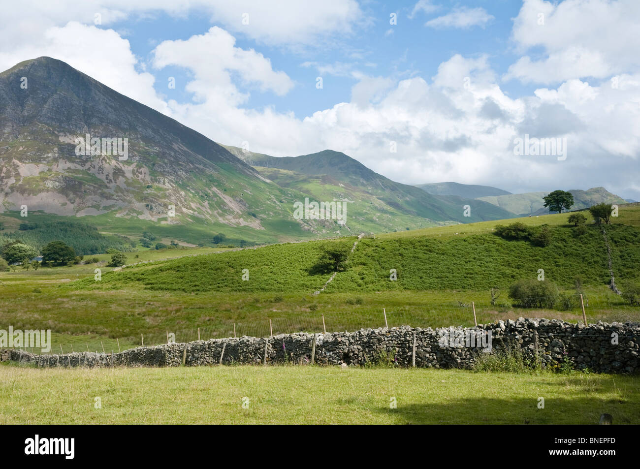 Une vue de Grasmoor et gamme de fells ; à la baisse vers la lande de Loweswater, Lake District, Cumbria, Royaume-Uni. Banque D'Images