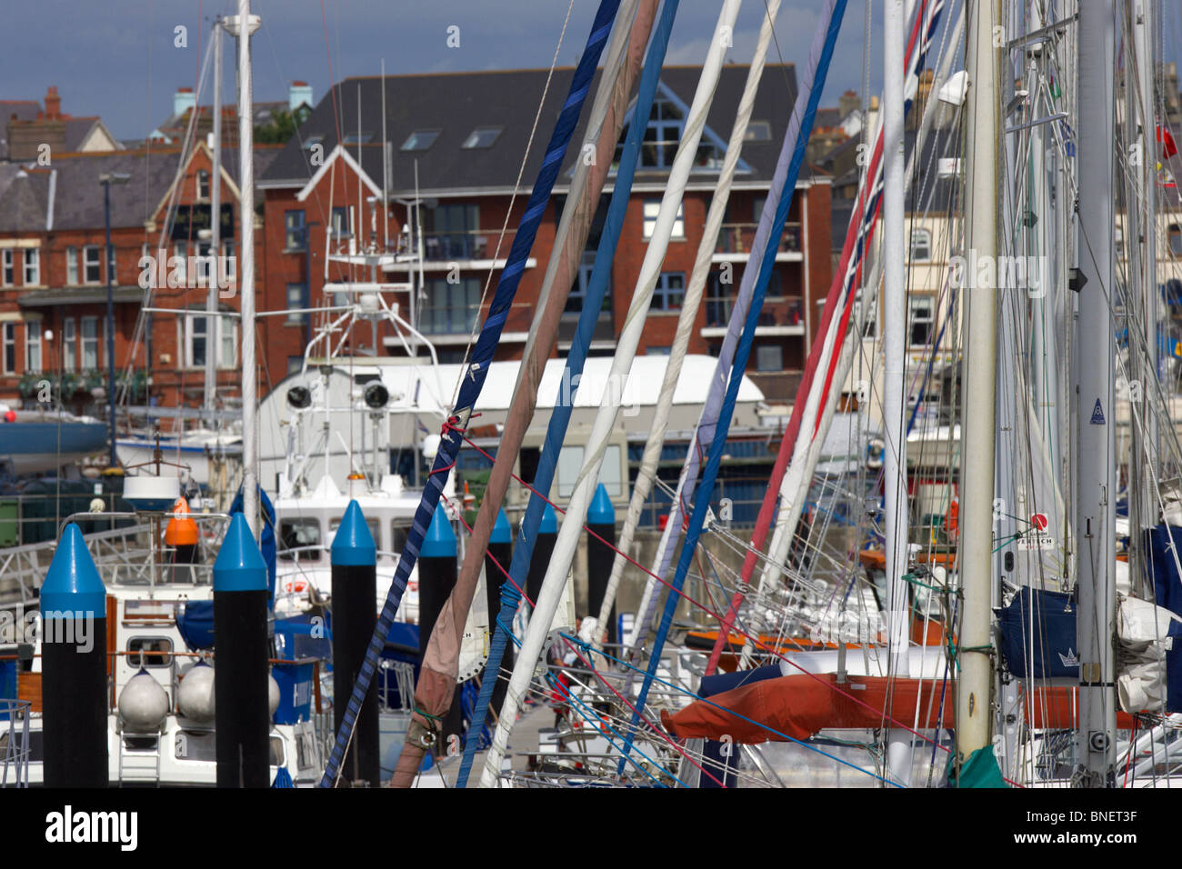 Mâts et voiles roulées de yachts et bateaux amarrés à Bangor marina County Down Irlande du Nord uk Banque D'Images