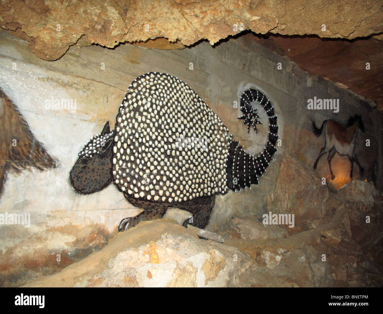 La peinture des animaux sur le mur de Inner Space Cavern Banque D'Images