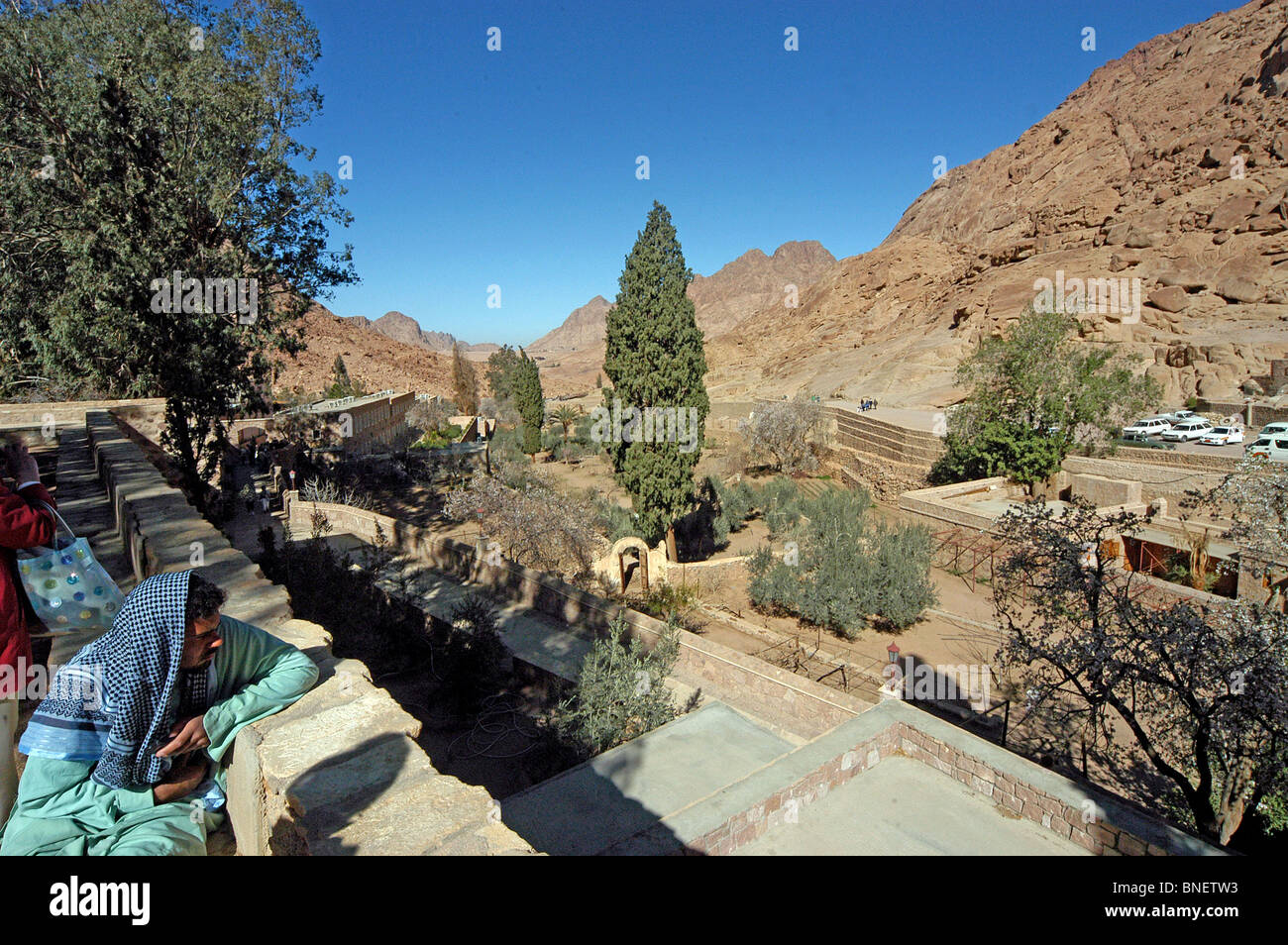 Le monastère Sainte-Catherine du Sinaï, jardins. Banque D'Images