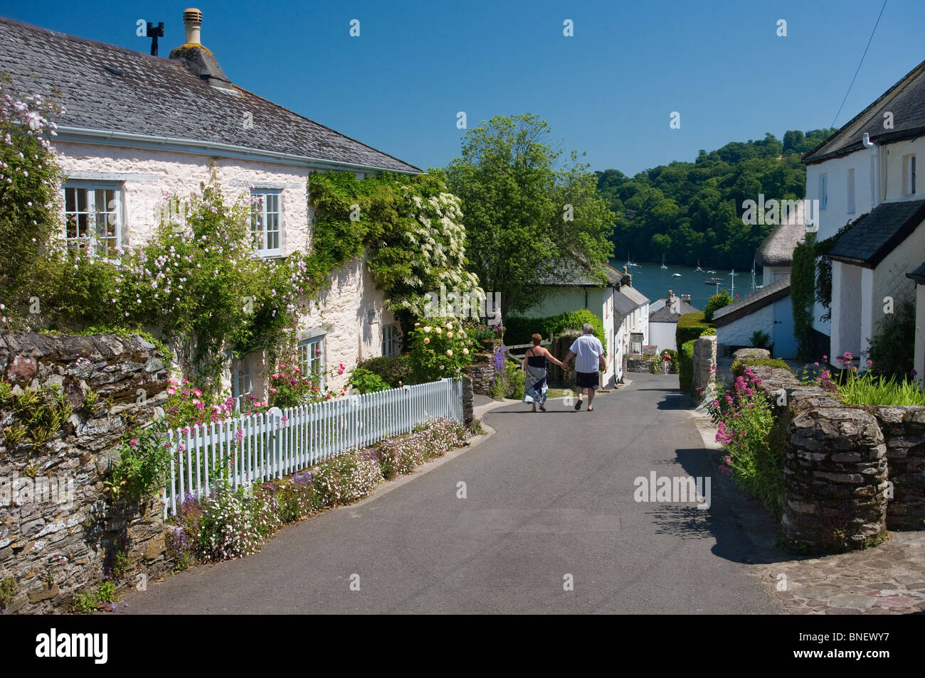 Jolis cottages dans le village de Dittisham Angleterre Devon UK Banque D'Images