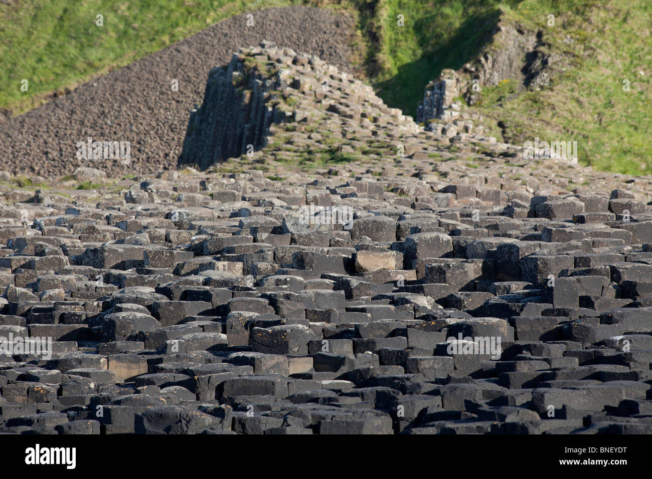 Avis de Giant's Causeway, comté d'Antrim, en Irlande du Nord Banque D'Images