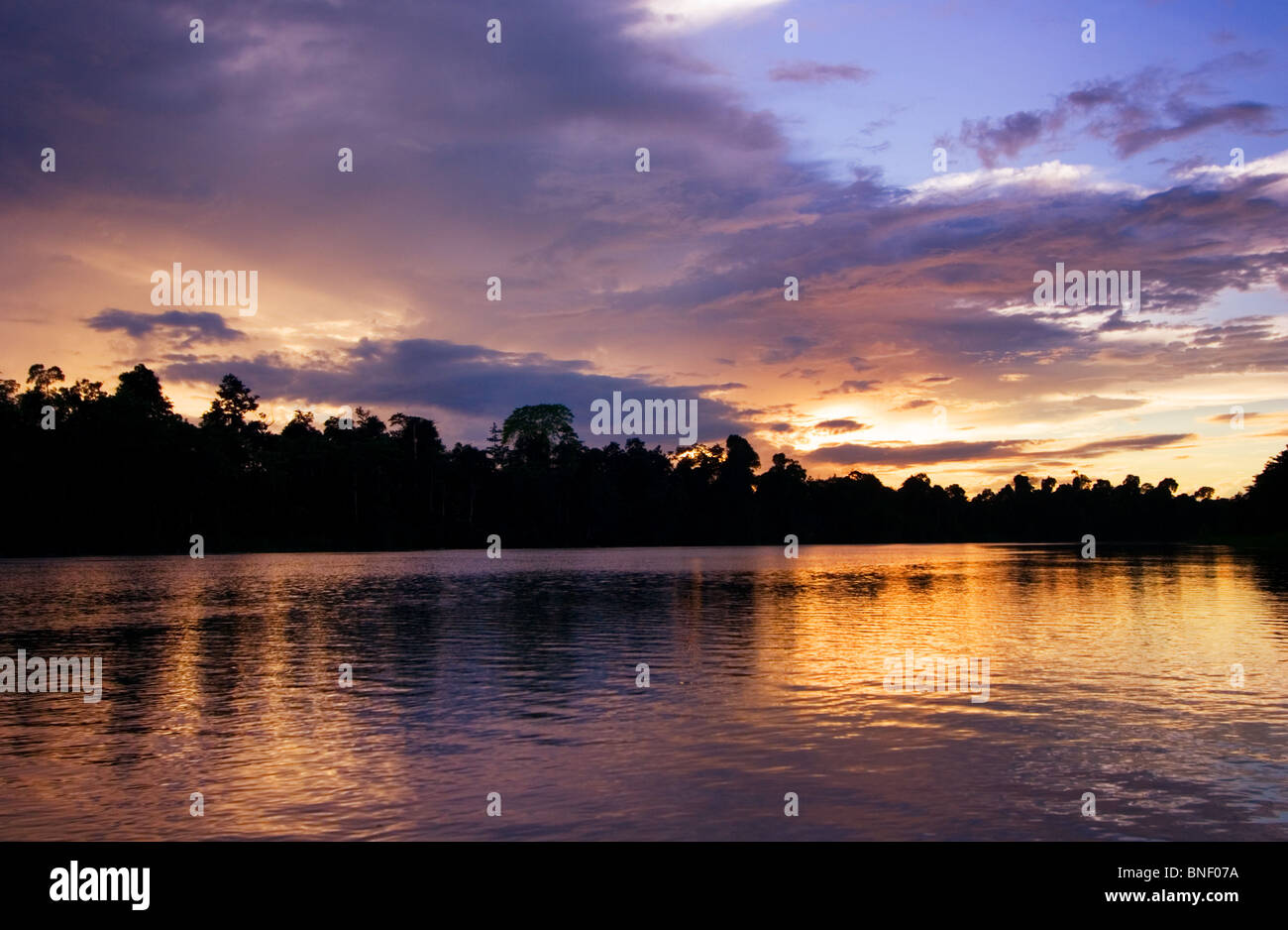 La rivière Kinabatangan au coucher du soleil, Sabah, Malaisie Banque D'Images