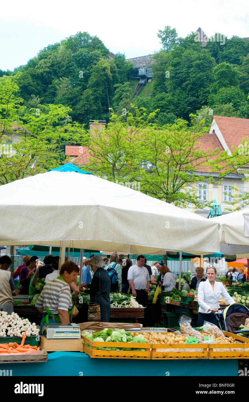 Marché Central, Ljubljana, Slovénie Banque D'Images
