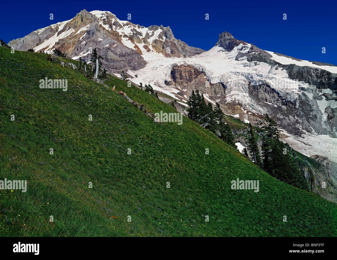 Snowcapped mountain range, Yocum Ridge, Mt Hood, Oregon, USA Banque D'Images