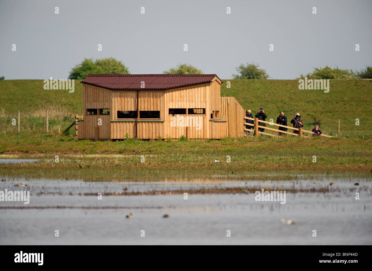 Orient cacher, Frampton Marsh, Lincolnshire UK. Banque D'Images