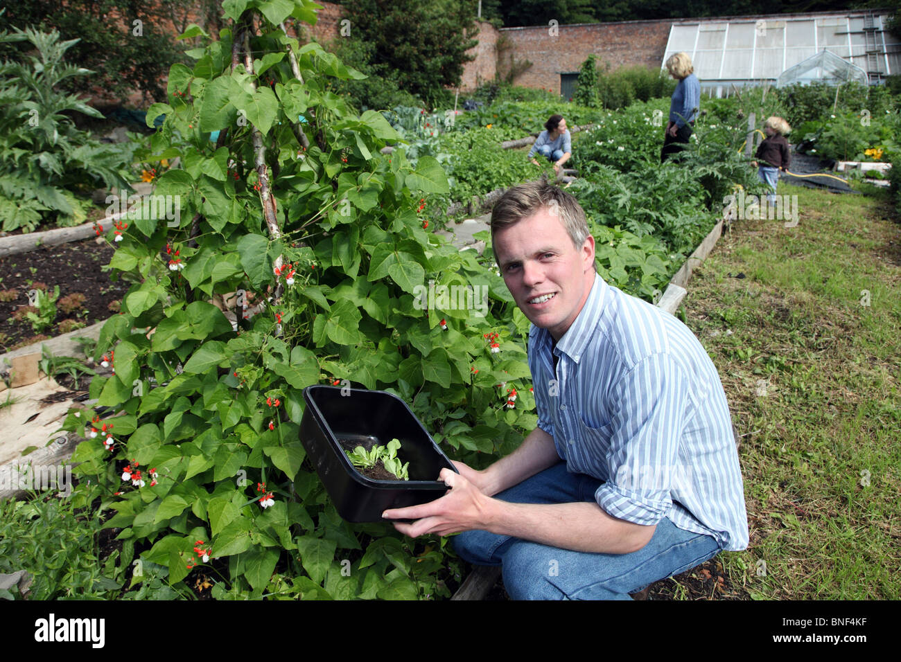 Fred Madden, Hilton Park potager muré Banque D'Images