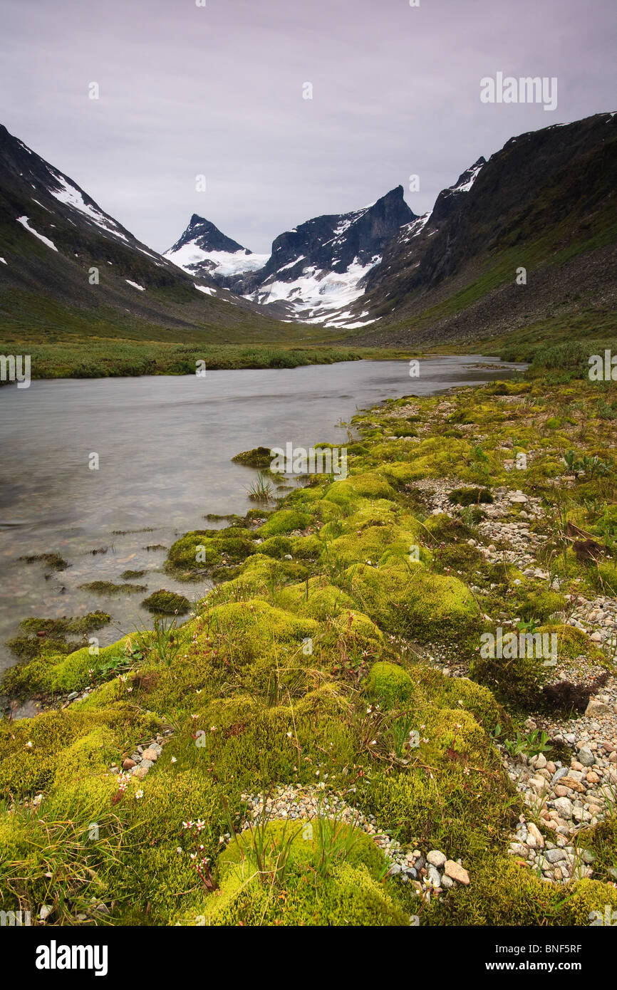 Tapis de mousse verte dans la vallée en Ringsdalen, Jotunheimen en Norvège. Banque D'Images