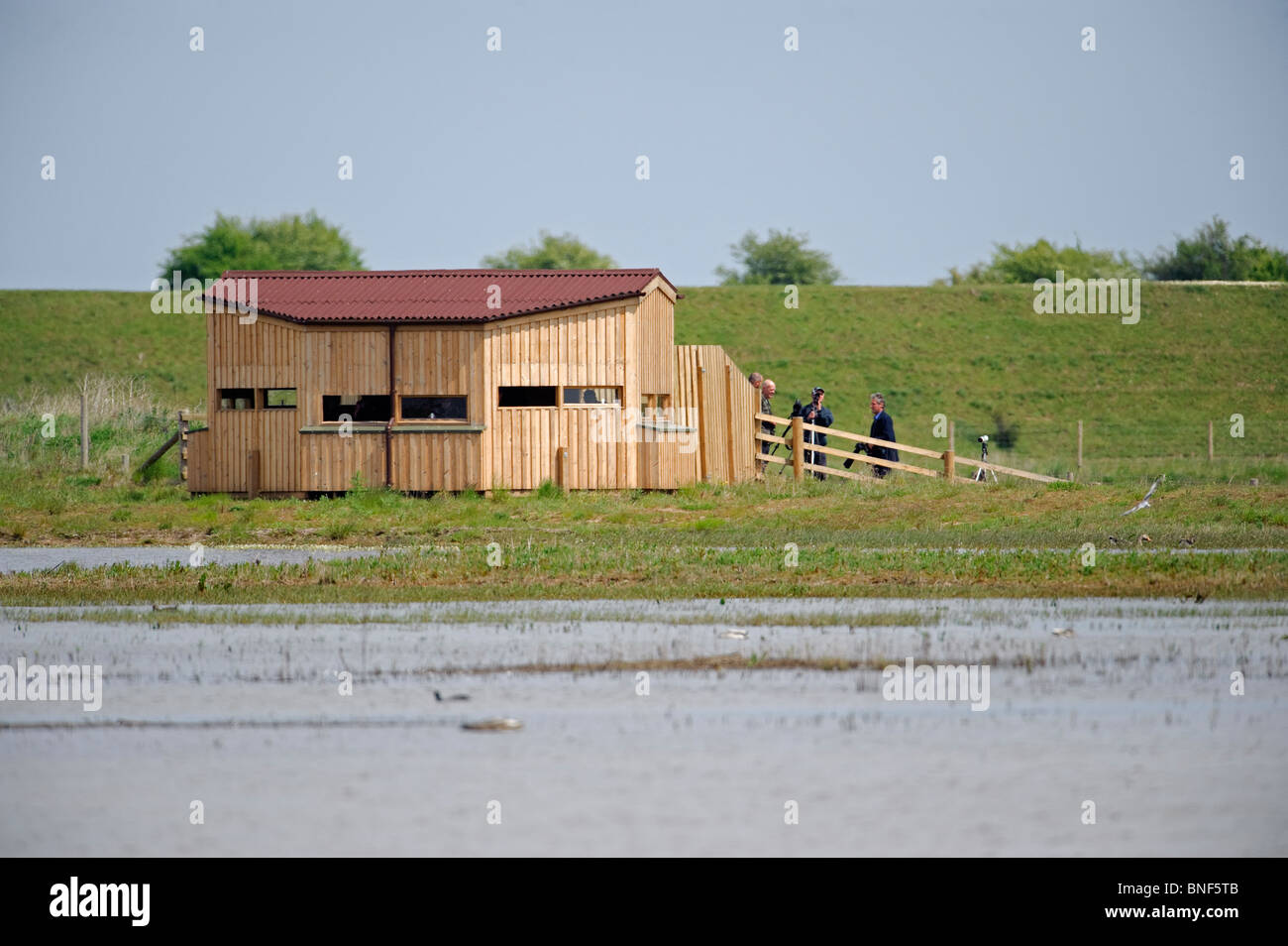 Orient cacher, Frampton Marsh, Lincolnshire UK. Banque D'Images