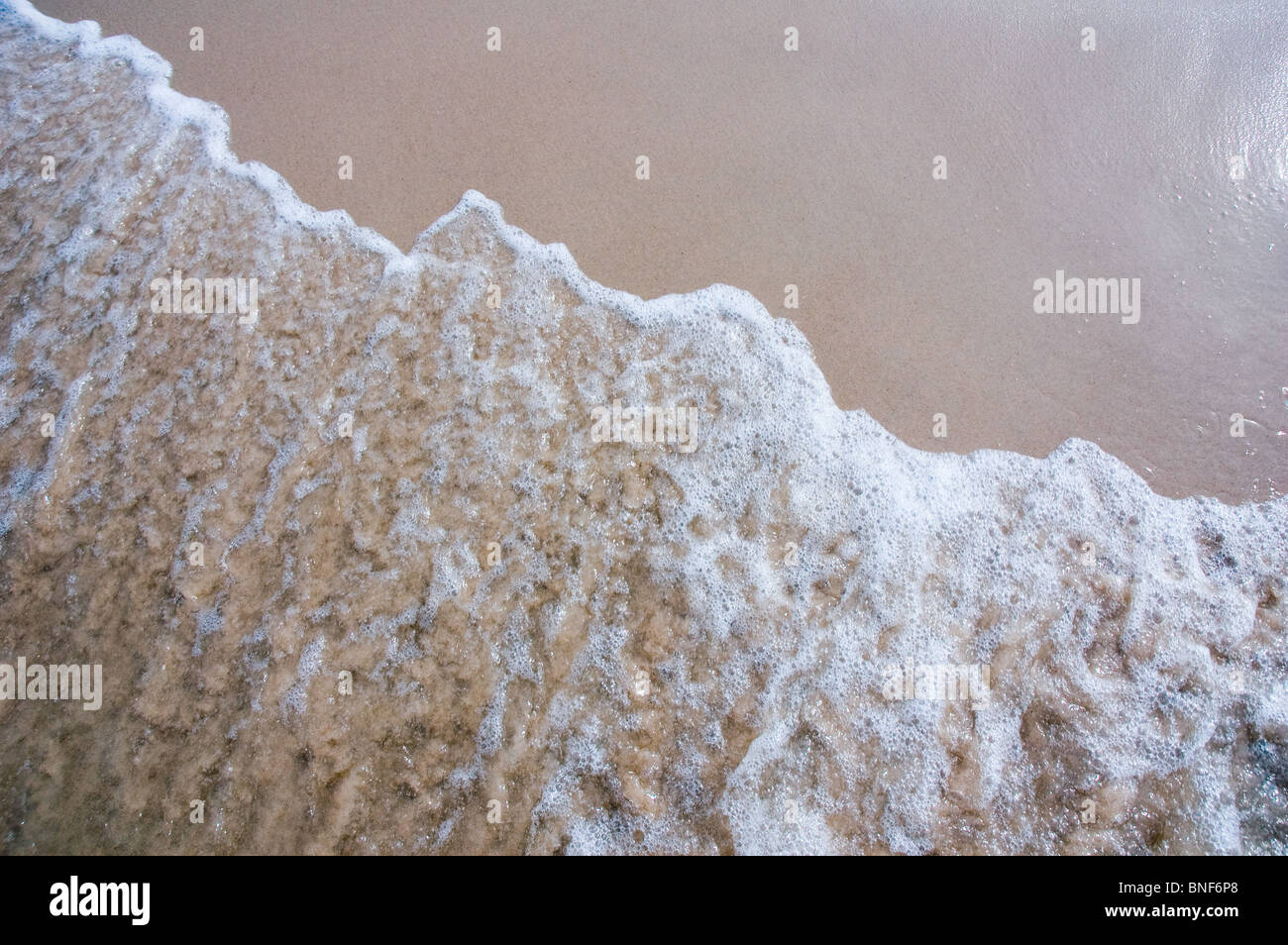 La poussière et des pierres sur la plage Banque D'Images