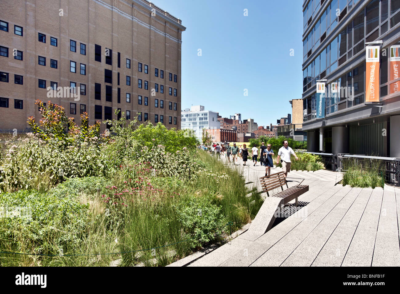 Planté de graminées indigènes ont augmenté de plus de personnes flânant dans passerelle deuxième été de New York City Le parc High Line Banque D'Images