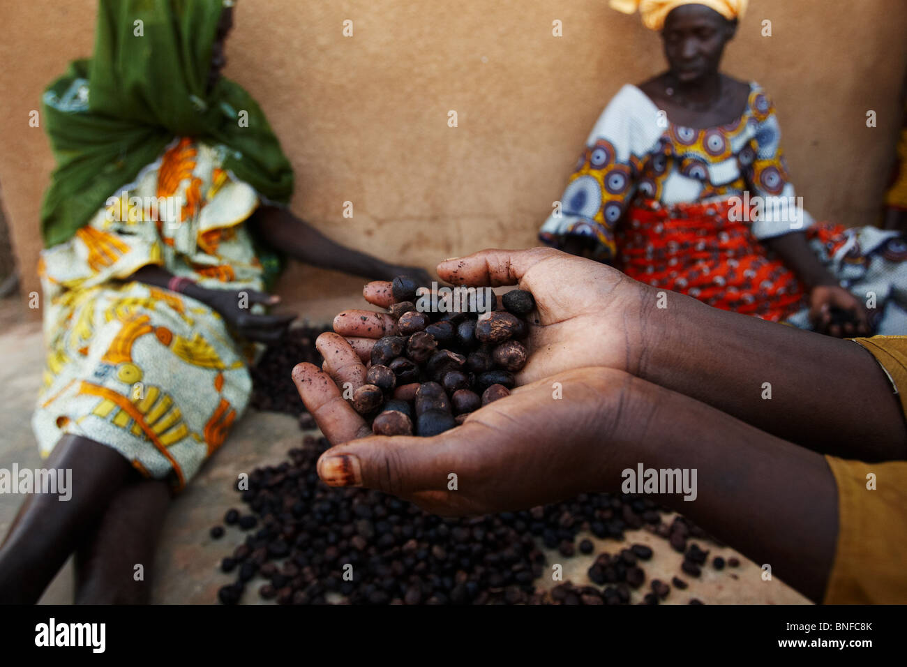 Une femme est titulaire d'une poignée de noix de karité à l'Dembayouma shea processing center dans le village de Bankoumana, près de Bamako, Mali Banque D'Images