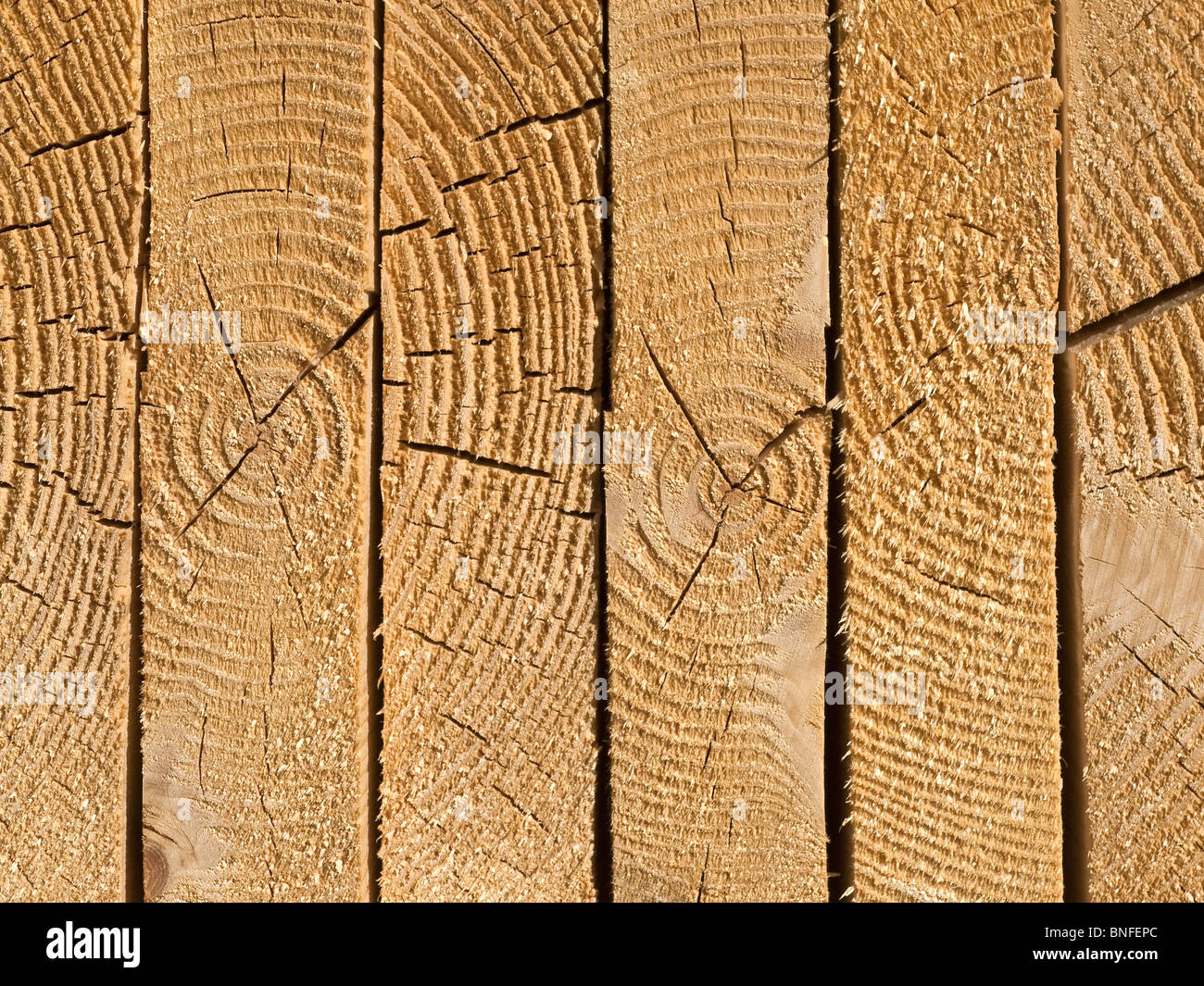 Les planches en bois et de clous pour la construction de logements nouveaux - Indre-et-Loire, France. Banque D'Images