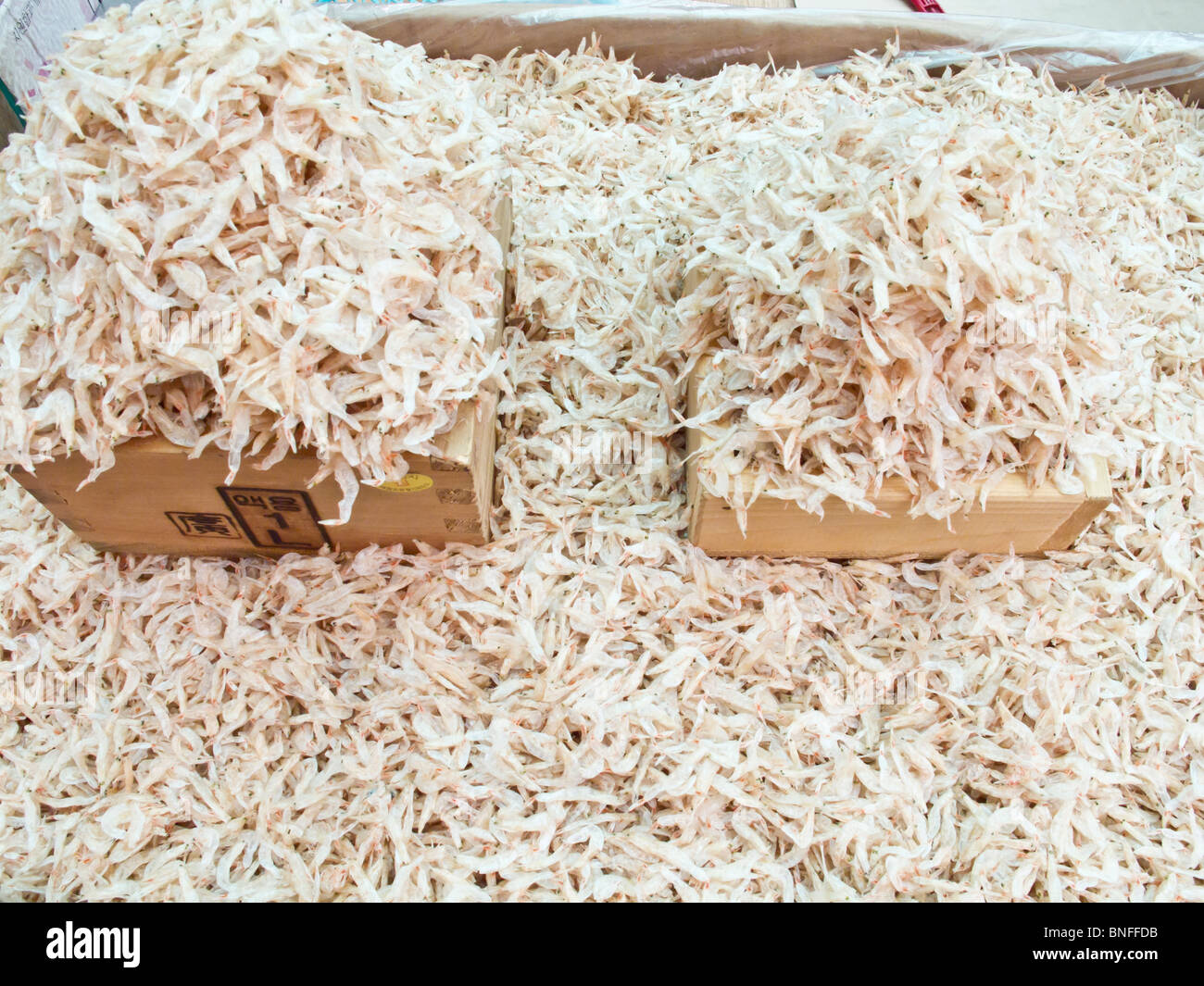 Beaucoup de petits poissons à vendre, marché marché Gyeongdong, médecine, Séoul, Corée du Sud Banque D'Images