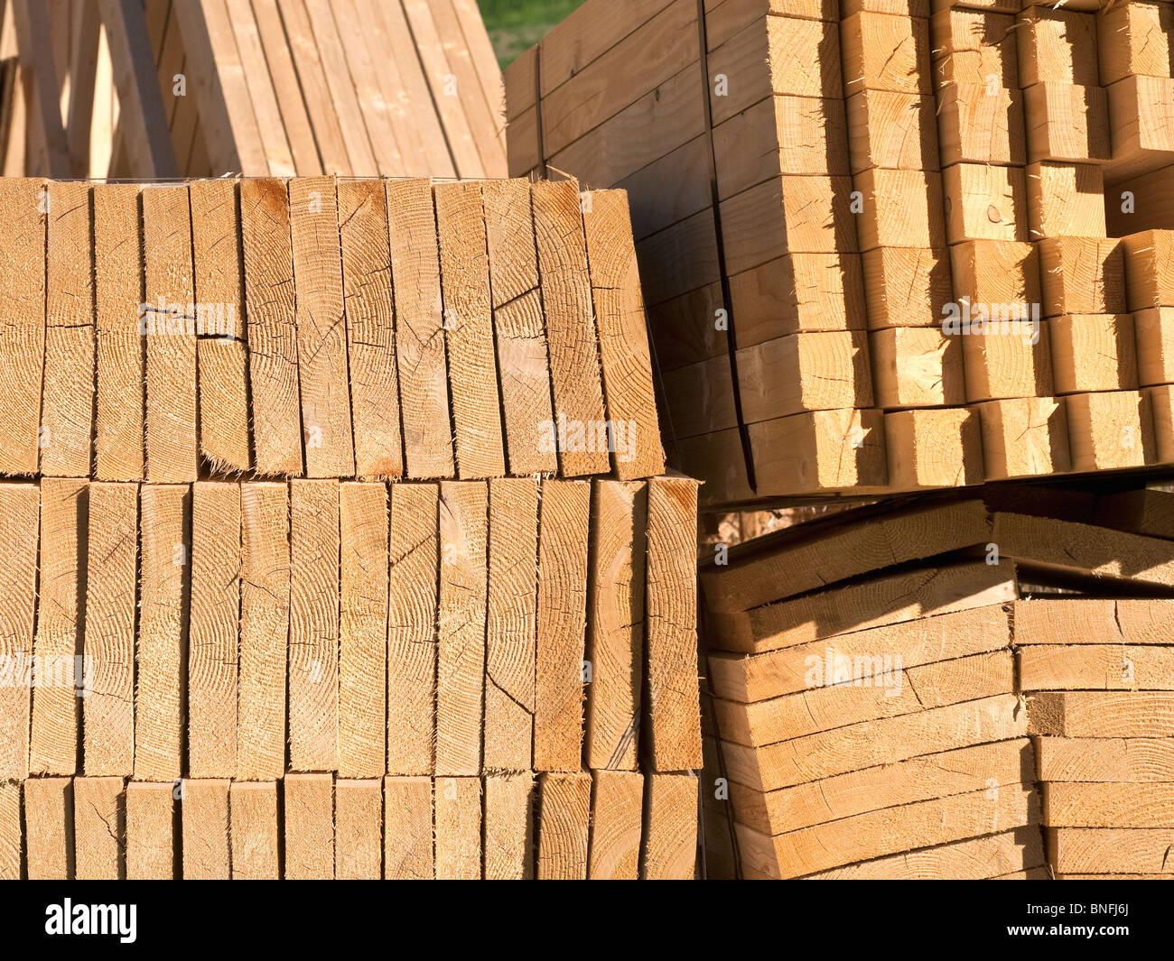 Les planches en bois et de clous pour la construction de logements nouveaux - Indre-et-Loire, France. Banque D'Images