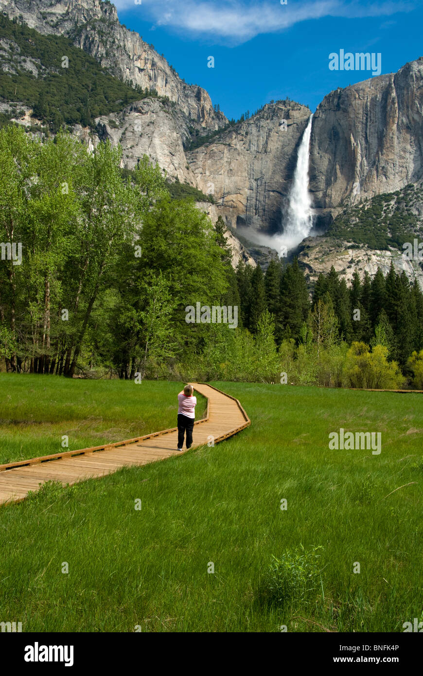 Californie, Yosemite National Park, Yosemite Falls, 739m, 2425 pieds, passerelle en bois, femme prend photo sur passerelle en bois Banque D'Images