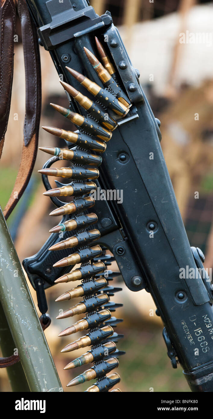 WW2 armée allemande MG 42 balle de mitrailleuse avec ceinture. Re historique l'incorporation. Banque D'Images