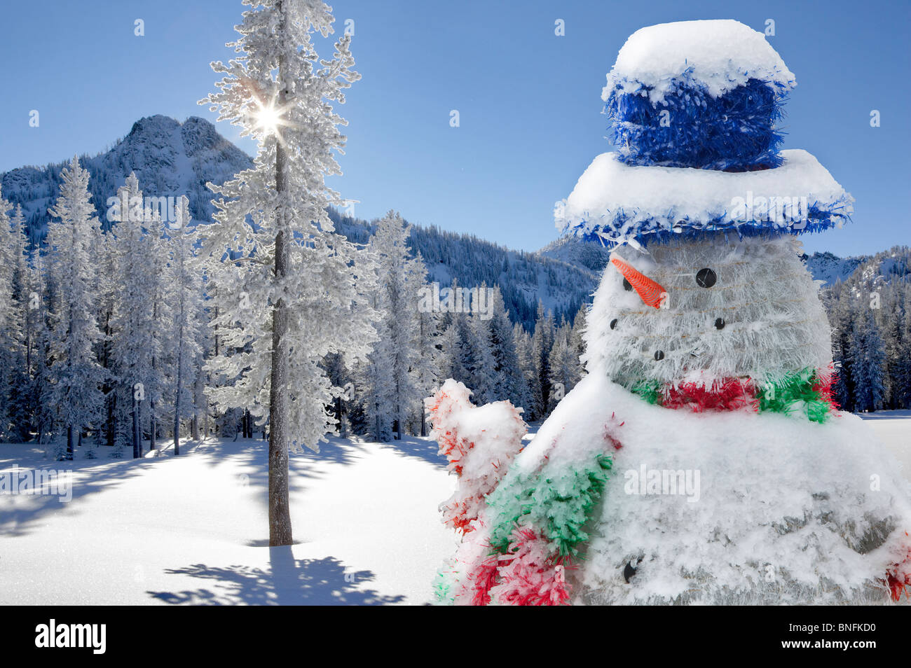 Soleil à travers arbre couvert de neige à Anthony lacs en hiver Banque D'Images