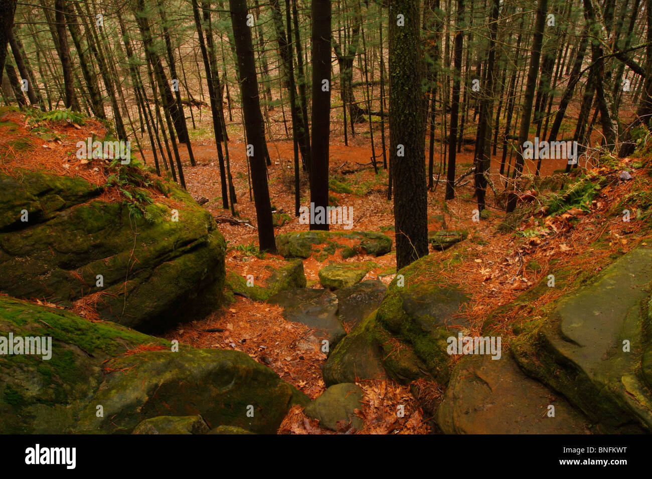 Le gouverneur Dodge State Park au printemps Banque D'Images