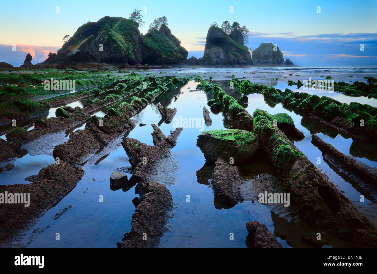 Point de l'Arches est situé sur Shi-Shi Beach dans l'état de Washington's Olympic National Park Banque D'Images